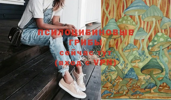альфа пвп Киреевск