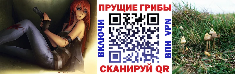 Псилоцибиновые грибы MAGIC MUSHROOMS  Купить закладки  Бавлы 